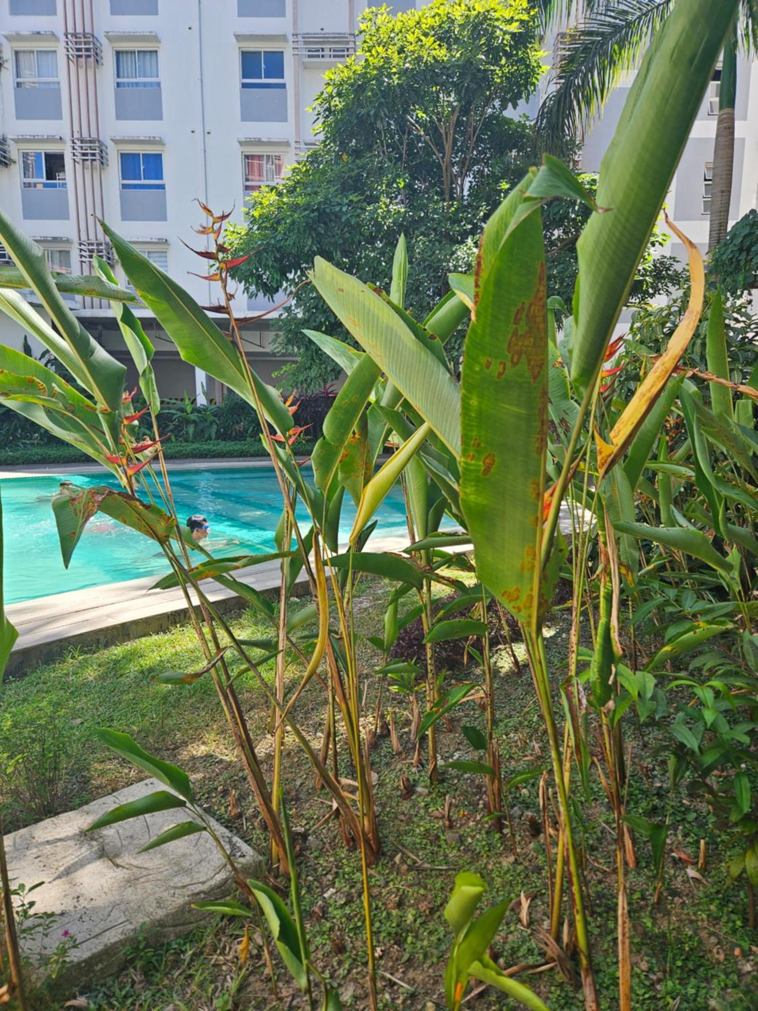 2-Bedroom Boutique City Condo - Newly Renovated! Cebu Esterno foto
