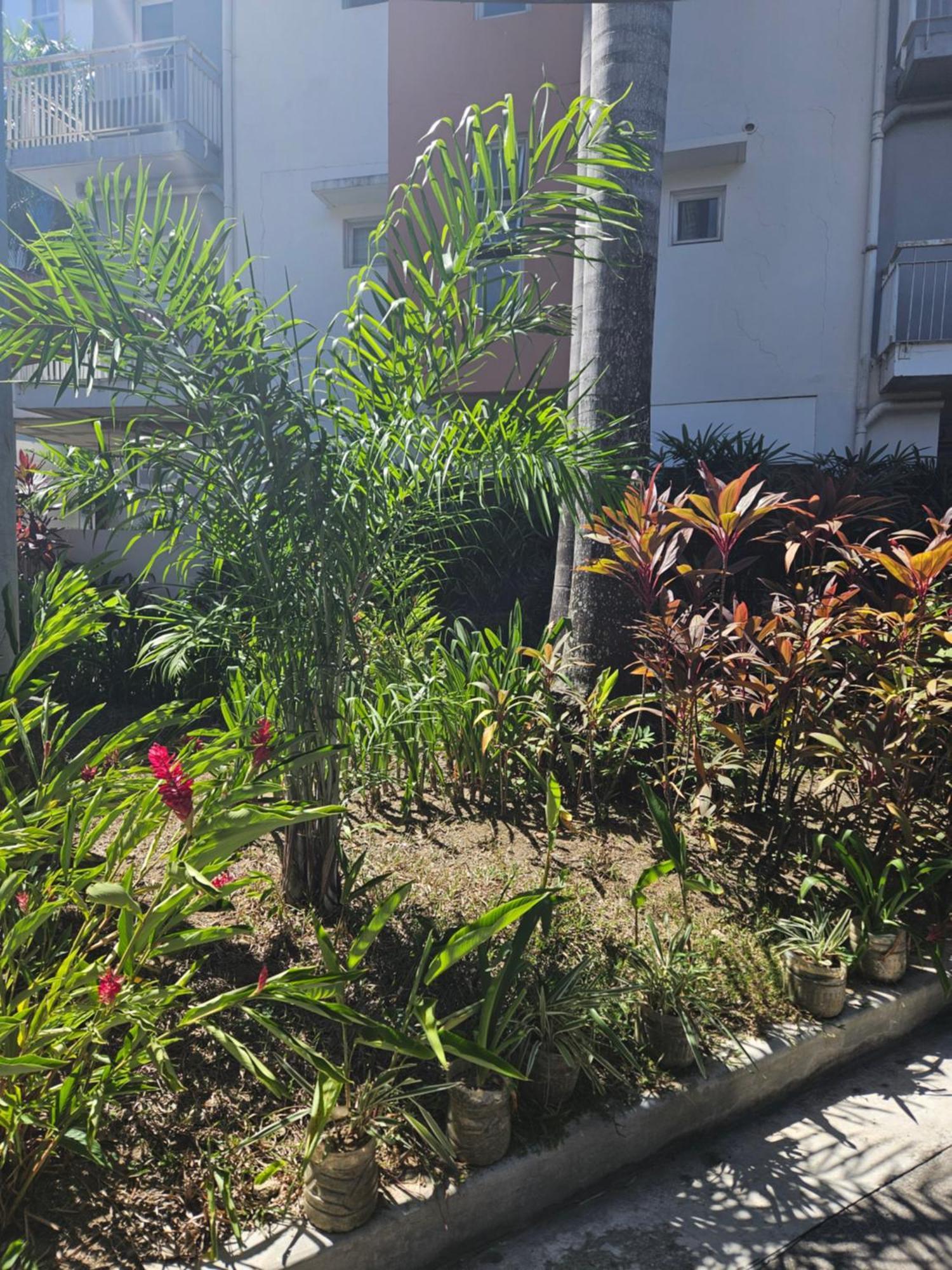 2-Bedroom Boutique City Condo - Newly Renovated! Cebu Esterno foto